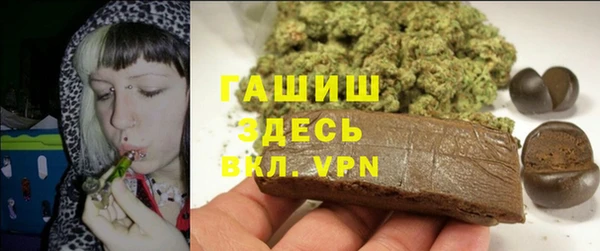 стаф Алзамай