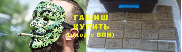 стаф Алзамай