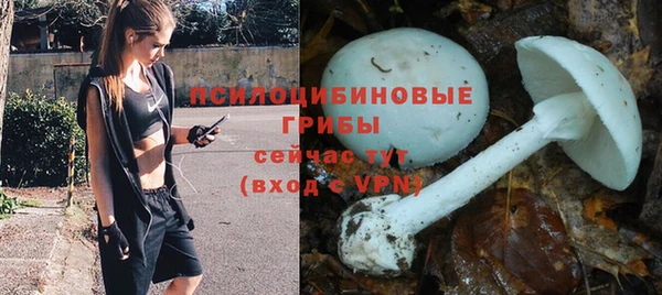 круглые Алексин
