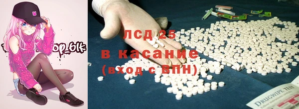 стаф Алзамай