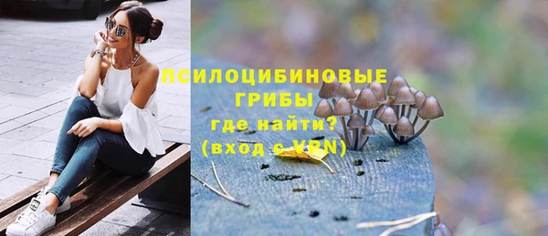 стаф Алзамай
