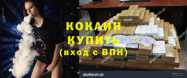 стаф Алзамай