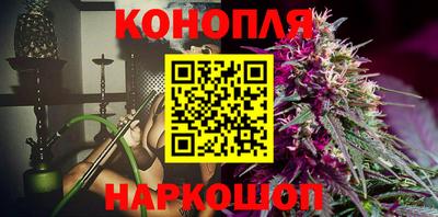 крисы Кизляр