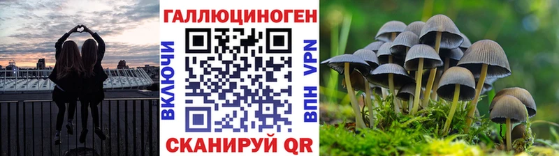 купить наркотик  Коркино  Галлюциногенные грибы прущие грибы 