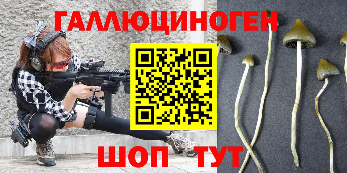 Коркино  Галлюциногенные грибы Magic Shrooms  Вход с VPN  Псилоцибиновые грибы Psilocybe 